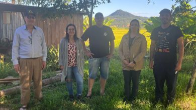 Dirceu Marzari, Ariane G. Vargas, Daniel Marzari, Juliana Soares e Vagner Perondi.