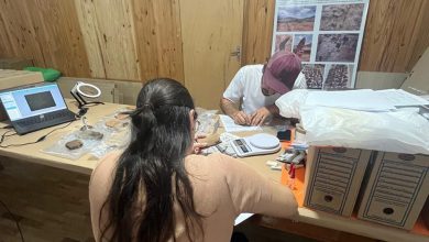 Arqueólogos Juliane Soares e Vagner Perondi em análise do acervo para elaboração da Fichas BAM.
